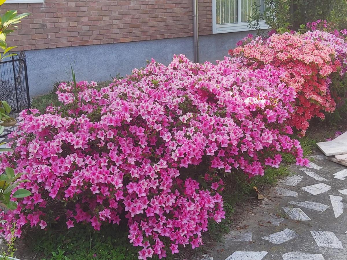 Villa Silvia Olivetti Banchette D'Ivrea Dış mekan fotoğraf